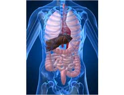 Δυσκοιλιότητα: Δεν είναι ντροπή, είναι πρόβλημα που έχει λύση