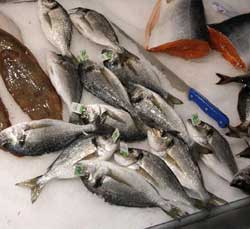 Τα ω-3 λιπαρά οξέα μειώνουν τον καρδιαγγειακό κίνδυνο και τους αιφνίδιους θανάτους