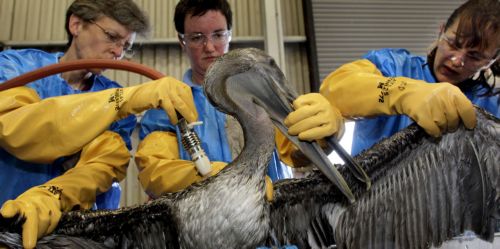 Αγωγό απορρόφησης του πετρελαίου που διαρρέει τοποθέτησε η BP, ανακοινώνει η εταιρεία