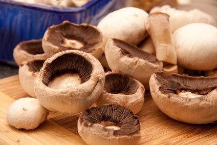 Τα μανιτάρια