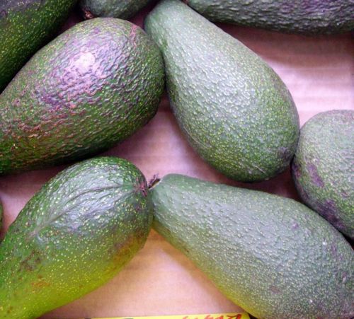 Το αβοκάντο