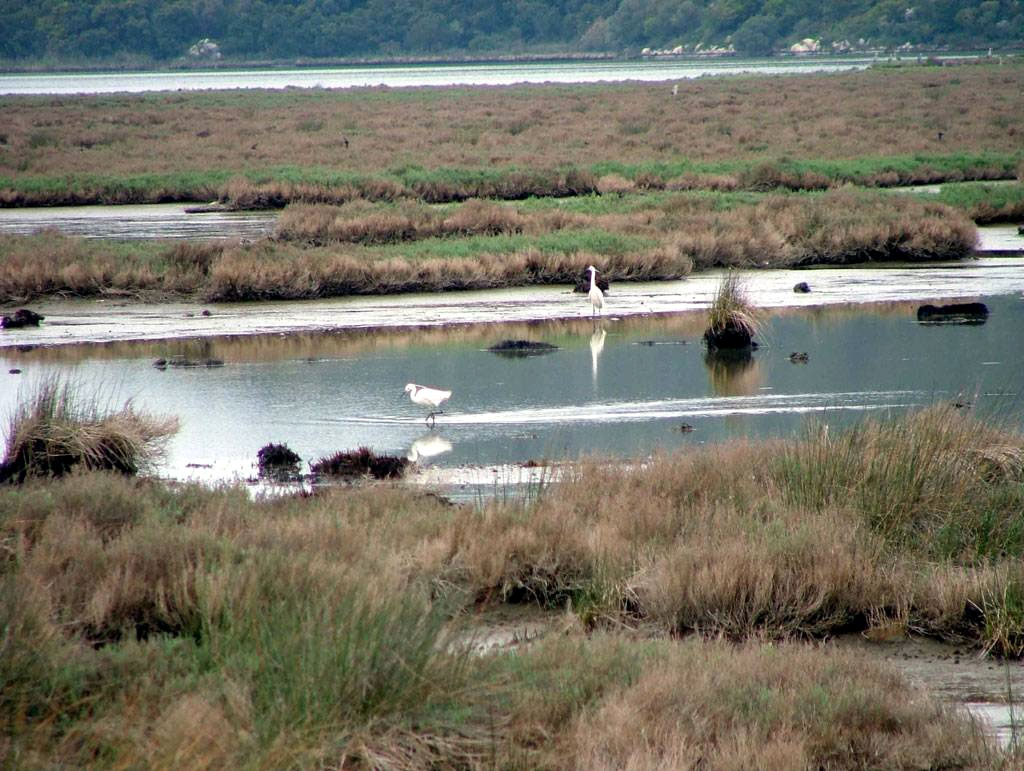Η Θεσπρωτία