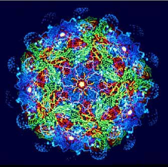 Παγκόσμια αύξηση των ιών με ανθεκτικότητα στα φάρμακα