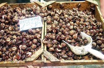 Δοκιμάσατε σαλιγκάρια;