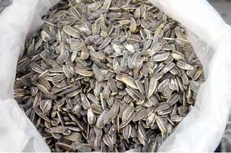 Ηλιόσποροι: Το σνακ του Μουντιάλ…