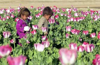Τα συνθετικά ναρκωτικά δημοφιλέστερα των παραδοσιακών, διαπιστώνει έκθεση του ΟΗΕ