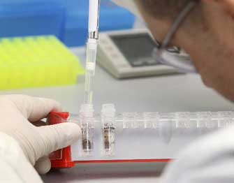 Κοντά στη δημιουργία τεχνητών πνευμόνων βρίσκονται οι επιστήμονες