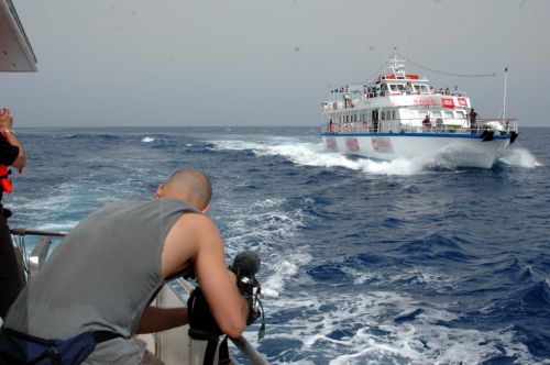 Στην Αθήνα επέστρεψαν έξι Έλληνες ακτιβιστές από το Ισραήλ