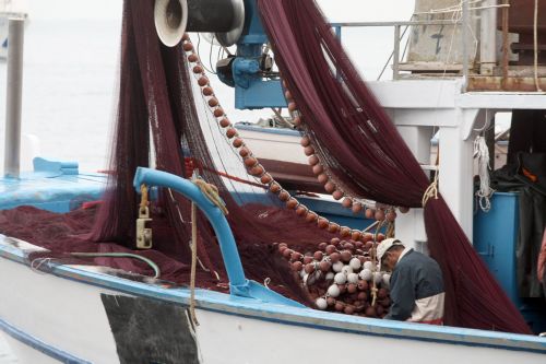 Πολύωρο μπλόκο του λιμανιού του Πειραιά από γρι-γρι και μηχανότρατες