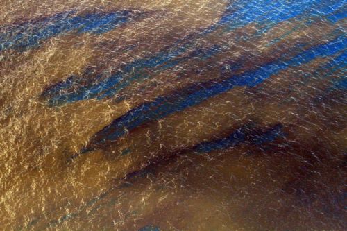 Στις ακτές του Μισισιπή η πετρελαιοκηλίδα, τον Αύγουστο η οριστική λύση