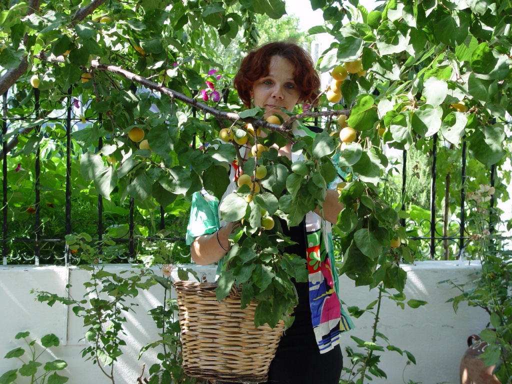 Ο Αγροτουριστικός Συνεταιρισμός Γυναικών Σαμοθράκης «Αξιόκερσα»