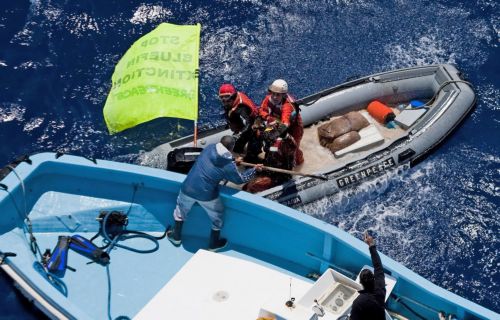 Πόλεμος ακτιβιστών με αλιείς ερυθρού τόνου στη Μεσόγειο