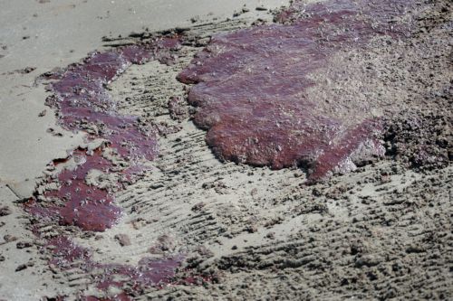 Διορία 48 ωρών στην BP για νέα μέσα κατά της πετρελαιοκηλίδας