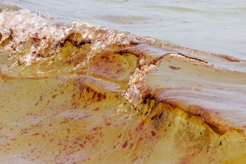 Η πετρελαιοκηλίδα της BP «είναι η 11η Σεπτεμβρίου για το περιβάλλον»