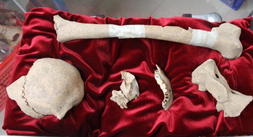 Τα οστά του Καραβάτζιο υποστηρίζουν ότι βρήκαν Ιταλοί επιστήμονες