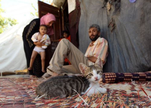 Ερευνητική επιτροπή για την επίθεση κατά του στολίσκου των ακτιβιστών συστήνει το Ισραήλ