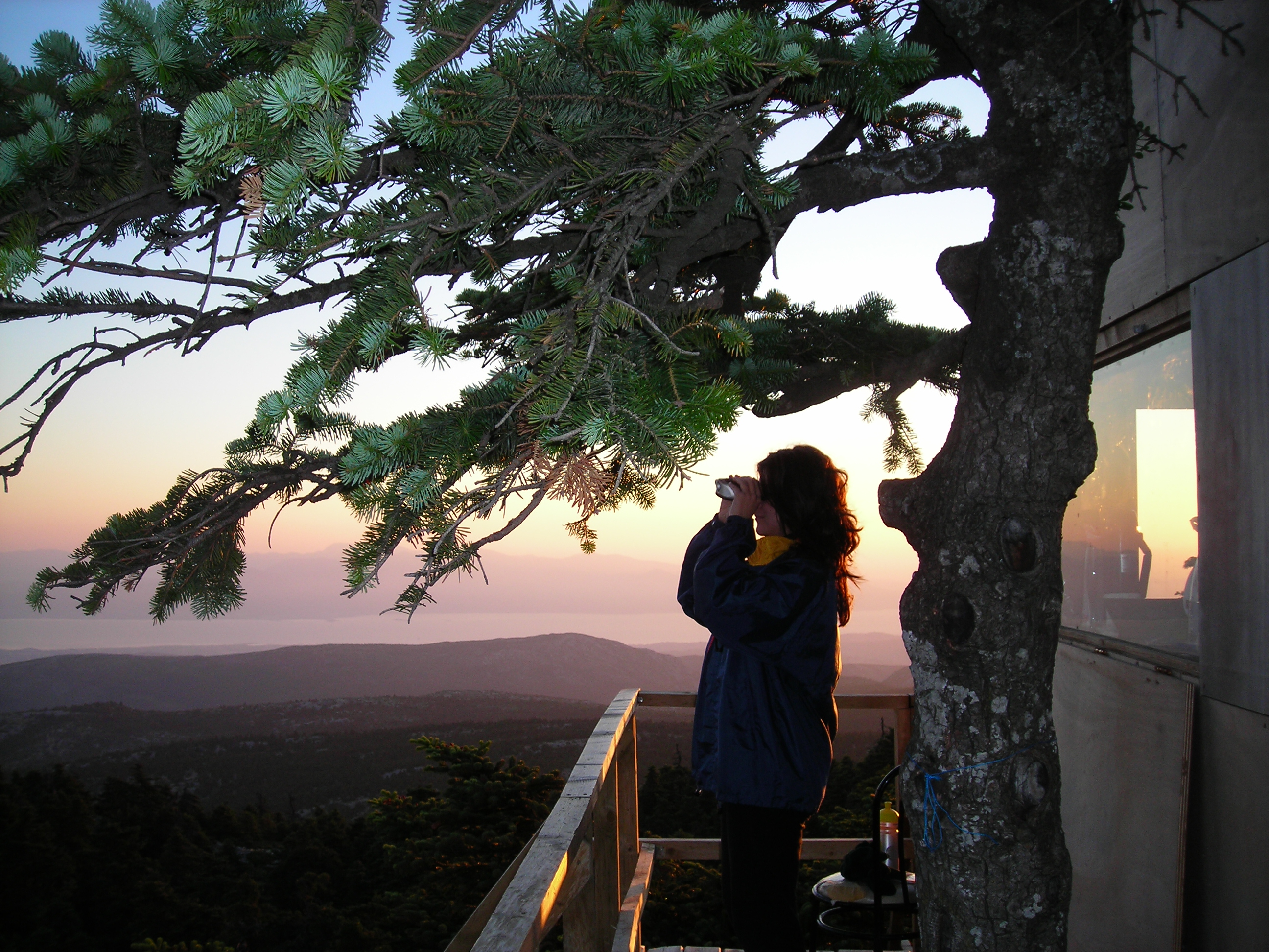 Δηλώστε Συμμετοχή στις Δασοπυροφυλάξεις της Πάρνηθας