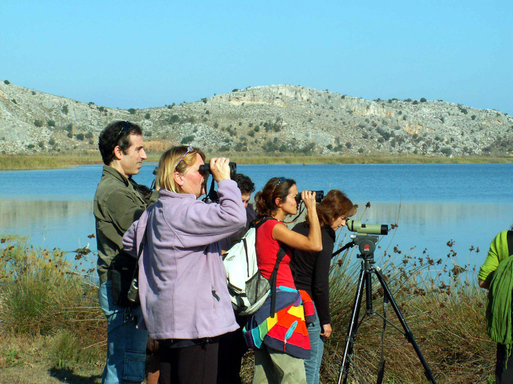Τα θερινά εθελοντικά προγράμματα της Ελληνικής Ορνιθολογικής Εταιρείας!