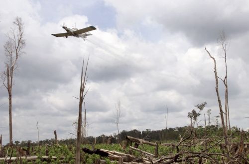 Ανησυχία στον Έβρο για περιβαλλοντική ρύπανση από Τουρκία και Βουλγαρία