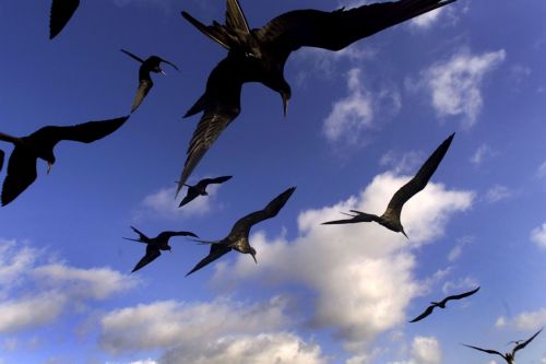 «Τέλος στο μονοπώλιο του Δαρβινισμού» στα σχολεία επιθυμεί η Ρωσική Εκκλησία