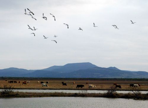 Δεν επιβεβαιώνονται οι ανησυχίες για βιομηχανική ρύπανση στον Έβρο