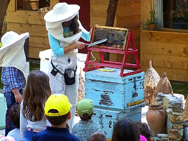 Η Βιωματική Δραστηριότητα «Τρύγος Μελιού» από 9 Μαΐου έως 10 Ιουνίου