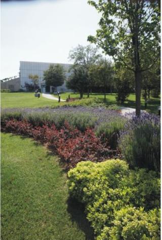 Η Big Band του Δήμου Αθηναίων στον κήπο του Μεγάρου Μουσικής Αθηνών