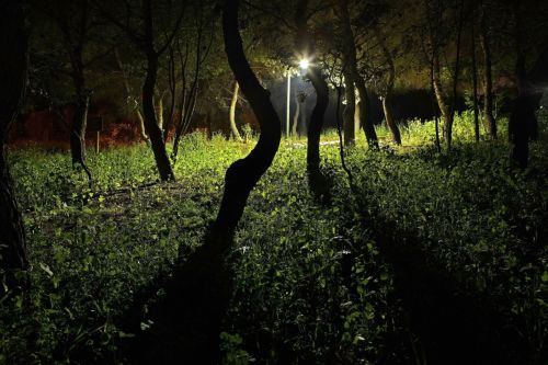 Εκδηλώσεις του ΕΜΣΤ για την Παγκόσμια Ημέρα κατά των Ναρκωτικών