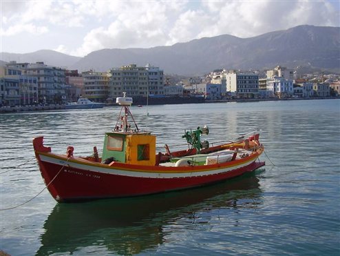 Σκοτώνουν τ’ αδέσποτα …πριν γεράσουν!