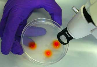 Κάθε άνθρωπος είναι γενετικά πιο μοναδικός από ό,τι πίστευαν οι επιστήμονες