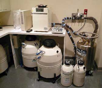 Η γονιμότητα στην «κατάψυξη», ενώ συνεχίζεται η αναζήτηση του ιδανικού συντρόφου