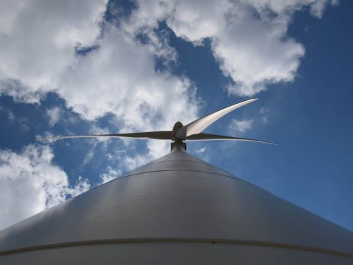 Green Project: Κυνηγοί της «πράσινης κιβωτού»