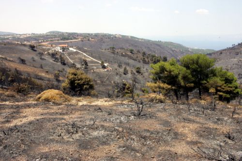Πλημμελή συντήρηση πυλώνων της ΔΕΗ «βλέπει» για τις φωτιές στη ΒΑ Αττική ο εισαγγελέας
