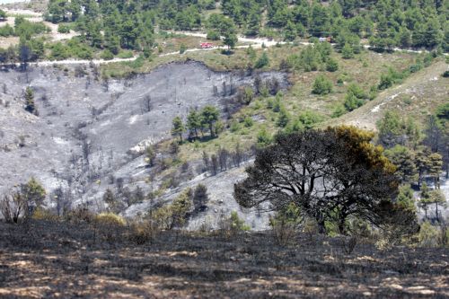 Απορρίπτει η ΔΕΗ οποιαδήποτε ευθύνη για τις πυρκαγιές σε Βαρνάβα και Μικροχώρι