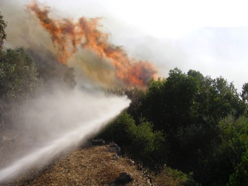 Δεκάδες φάκελοι εμπρησμών στη Σάμο ανοίγουν ξανά, μετά τη σύλληψη των τριών κτηνοτρόφων