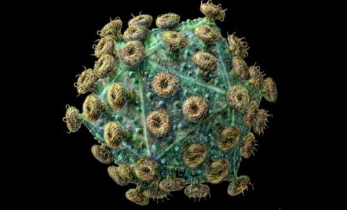 Πειραματικό αντίσωμα αναπτερώνει τις ελπίδες για εμβόλιο κατά του AIDS