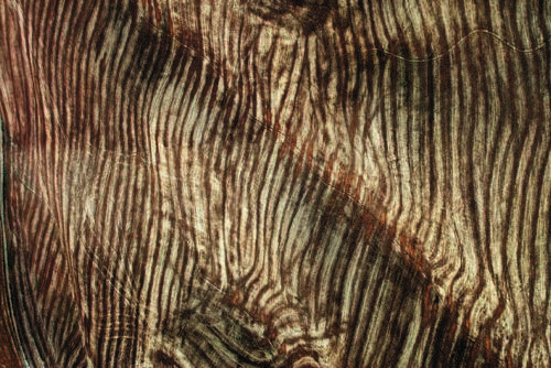 Συνεχίζεται η Photobiennale με δύο νέες εκθέσεις στη Θεσσαλονίκη