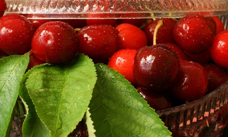 Τα κεράσια