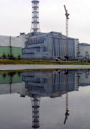 Φθίνει ο πληθυσμός των ειδών άγριας ζωής στη ζώνη γύρω από το Τσερνόμπιλ