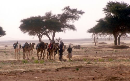 Άφαντος ο Γάλλος όμηρος της Αλ Κάιντα στο Μάλι μετά από στρατιωτική επιχείρηση
