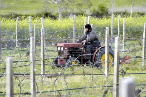 Αύξηση στο 70% της πρώτης δόσης του πριμ εγκατάστασης νέων αγροτών
