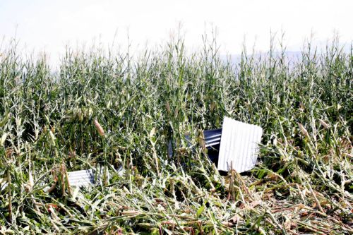 Ξεκίνησε ο ΕΛΓΑ την καταγραφή ζημιών από το χαλάζι στον Έβρο