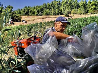 Αγρότες και οδηγοί κινδυνεύουν από μεταβολικό σύνδρομο