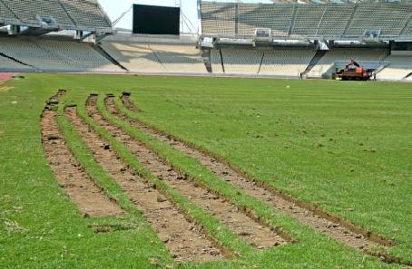 Στο ΟΑΚΑ το φιλικό του ΠΑΟ με τη Τζένοα, συνεχίζονται οι προτάσεις για φορ
