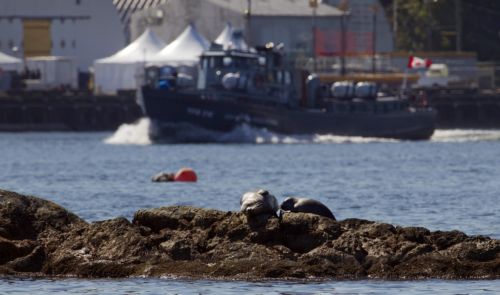 Υπό τον έλεγχο των καναδικών αρχών πλοίο με 500 πρόσφυγες Ταμίλ