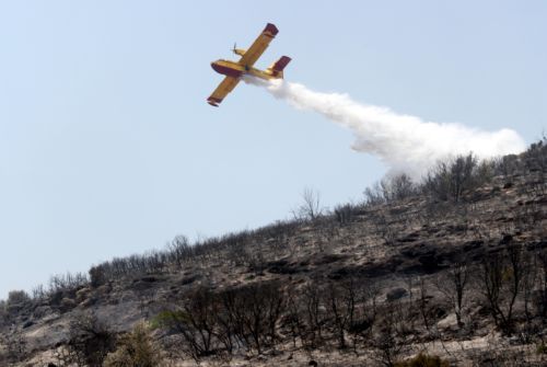 Υπό μερικό έλεγχο τέθηκε πυρκαγιά σε αγροτοδασική έκταση στην Κέρκυρα