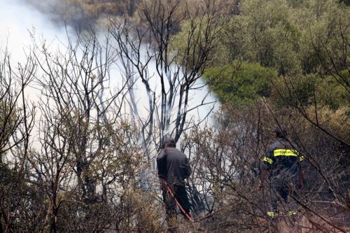 Εννέα πυρκαγιές ομολόγησε εθελοντής δασοπυροσβέστης