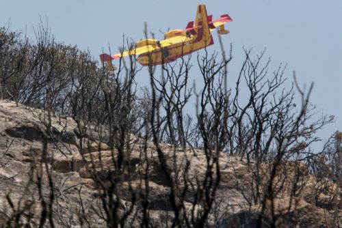 Υπό μερικό έλεγχο οι πυρκαγιές στον Σχοινιά Αττικής και στον Ξηρόκαμπο Ηλείας