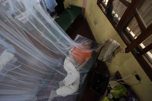 «Υπεύθυνος» για τα τσιμπήματα της σκνίπας ο σωματότυπός μας