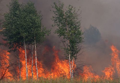 Δάση με ραδιενέργεια από το Τσερνόμπιλ απειλούνται από τις φωτιές στη Ρωσία